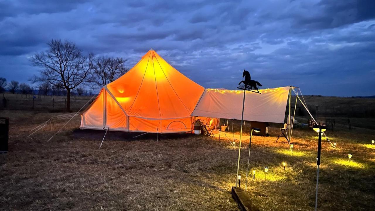 Shenandoah Valley Glamping - Amazing Views - Farm Edinburg Exterior foto