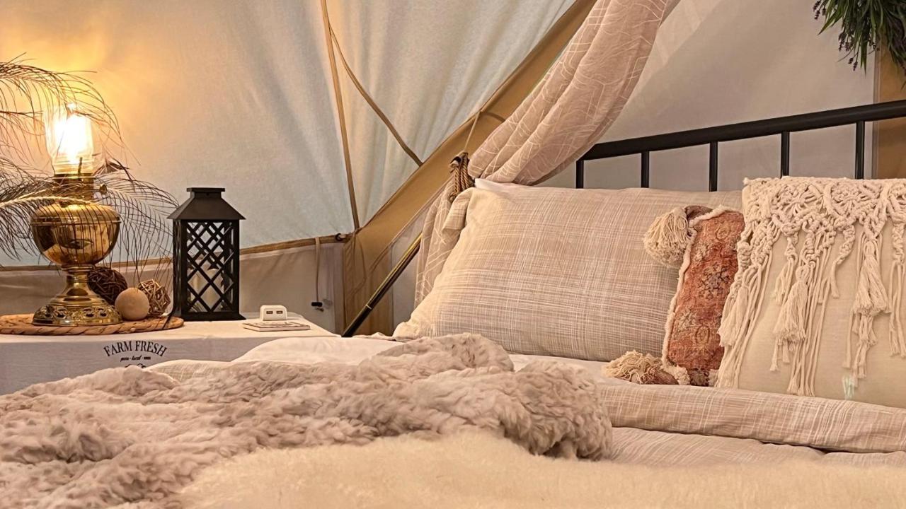 Shenandoah Valley Glamping - Amazing Views - Farm Edinburg Exterior foto