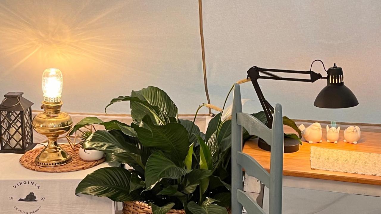 Shenandoah Valley Glamping - Amazing Views - Farm Edinburg Exterior foto