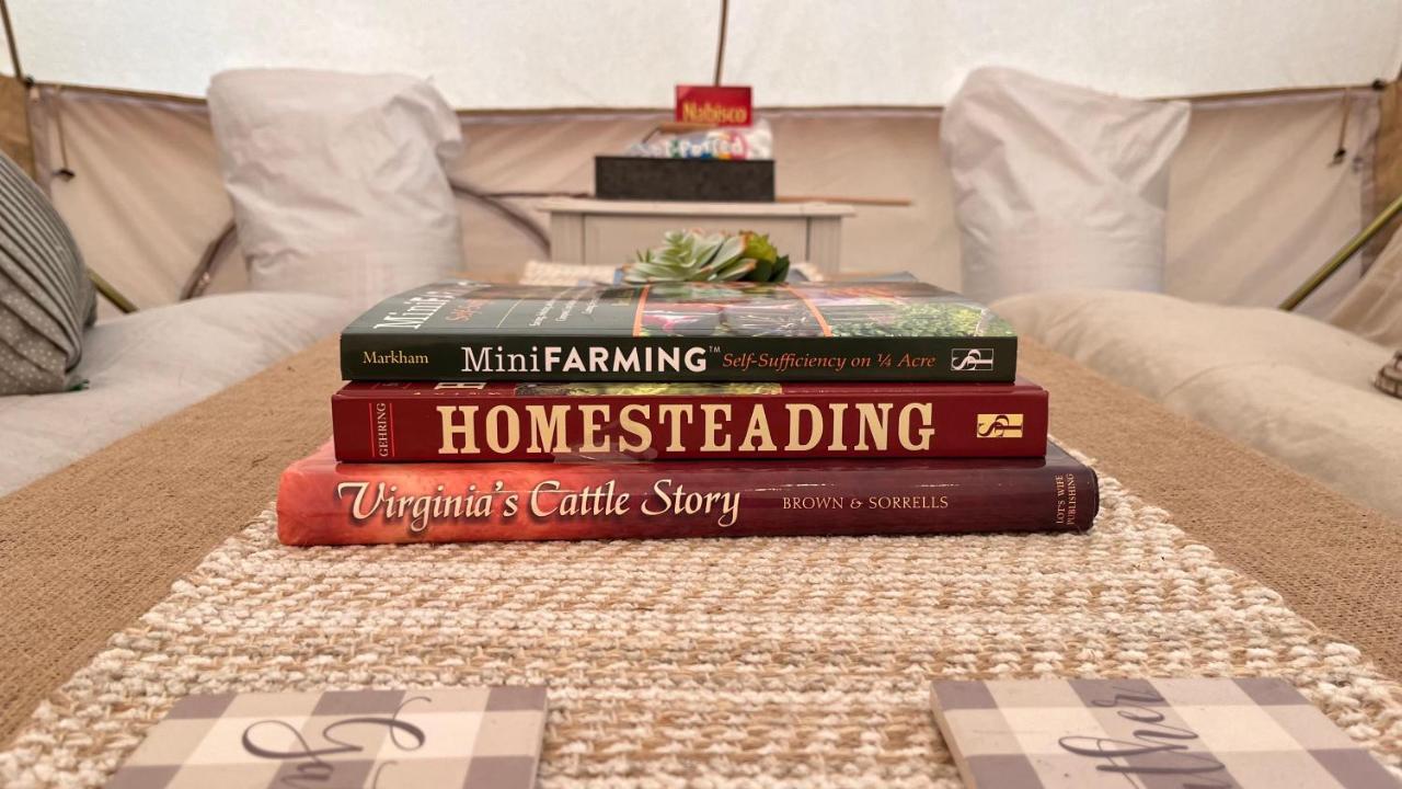 Shenandoah Valley Glamping - Amazing Views - Farm Edinburg Exterior foto