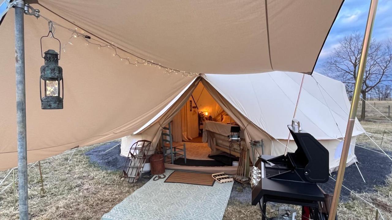 Shenandoah Valley Glamping - Amazing Views - Farm Edinburg Exterior foto
