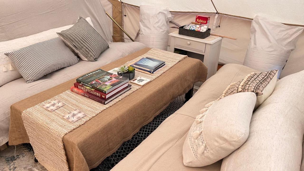 Shenandoah Valley Glamping - Amazing Views - Farm Edinburg Exterior foto