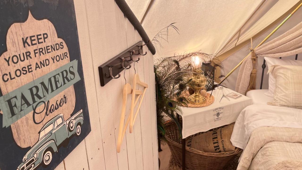 Shenandoah Valley Glamping - Amazing Views - Farm Edinburg Exterior foto